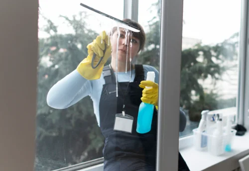 Nettoyage de vitres intérieures et extérieures au Plessis-Bouchard